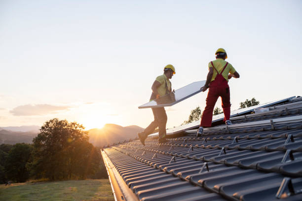 Best Roof Moss and Algae Removal  in Munhall, PA