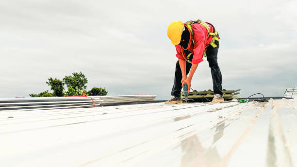 Best Gutter Installation and Repair  in Munhall, PA